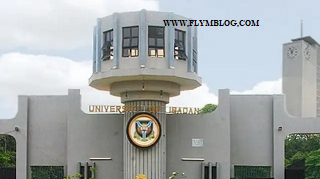 University of Ibadan (UI)