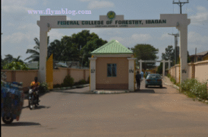 Federal College of Forestry Ibadan 2025/2026 Admission Form Out Now