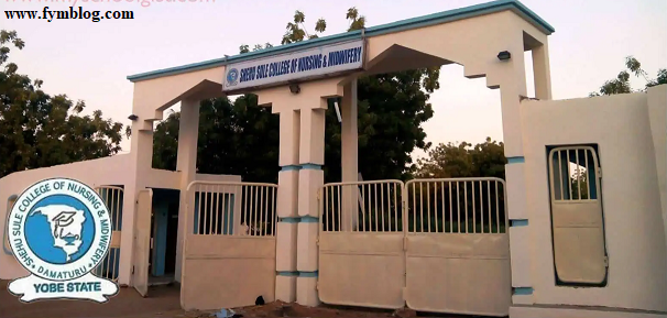 Shehu Sule College of Nursing