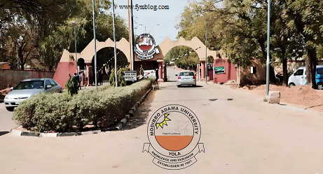 Modibbo Adama University