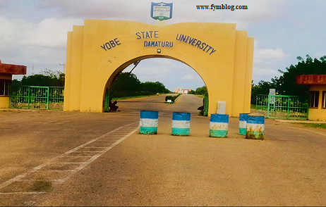 Yobe State University