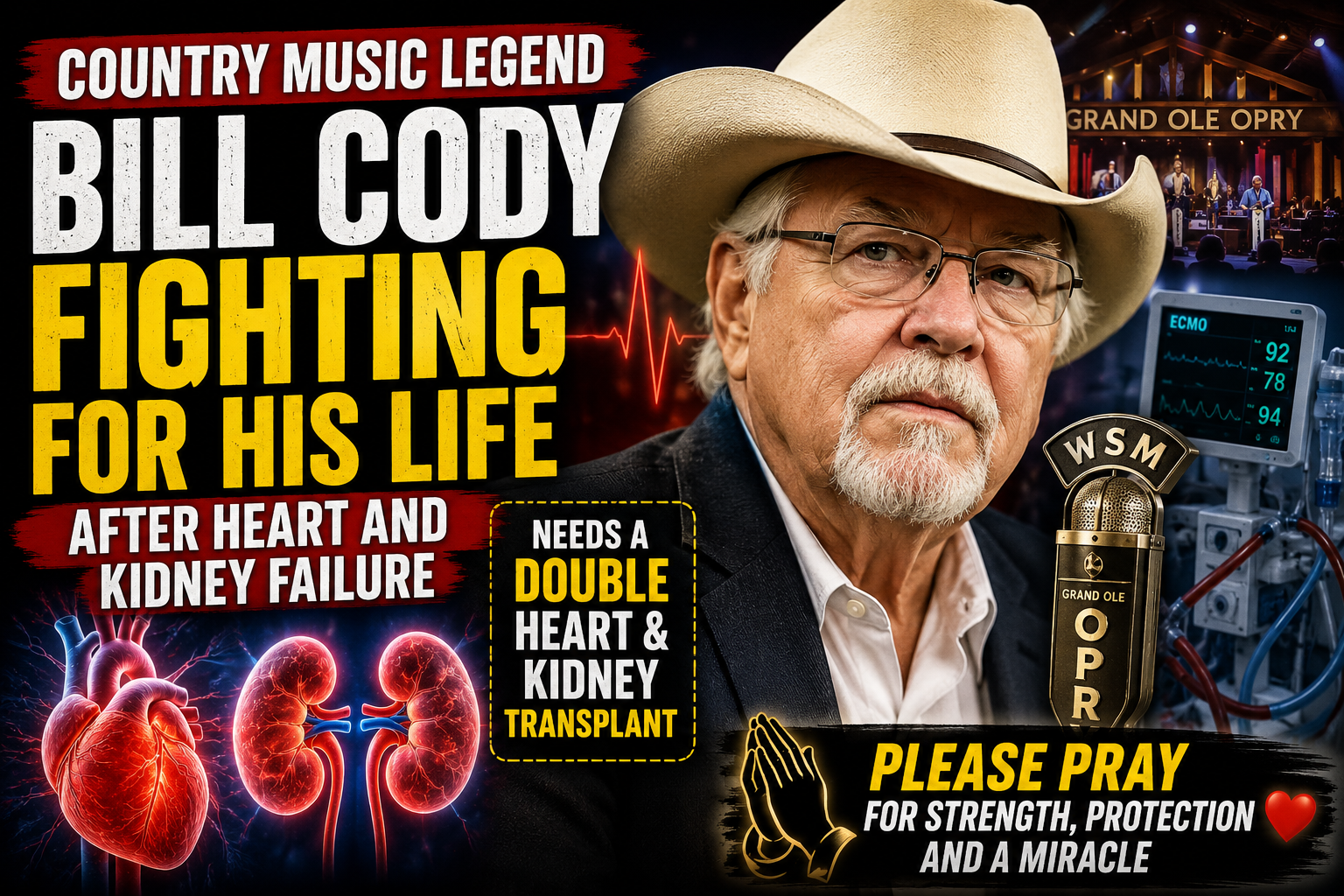 kidney